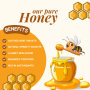 Illustration of a honey jar with a bee holding a honey dipper, showcasing the benefits of pure honey including soothing sore throats, boosting immunity, enhancing mood, and being rich in antioxidants, with honeycomb graphics.